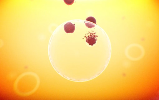 molecules-sun