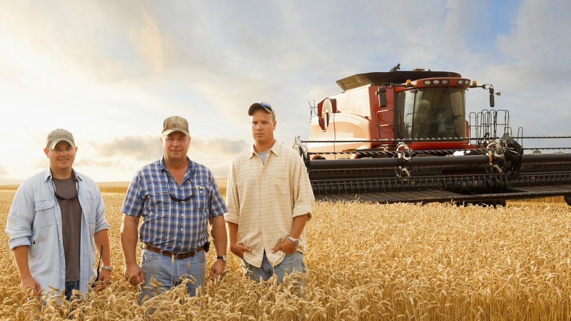 Three generations on wheat camp