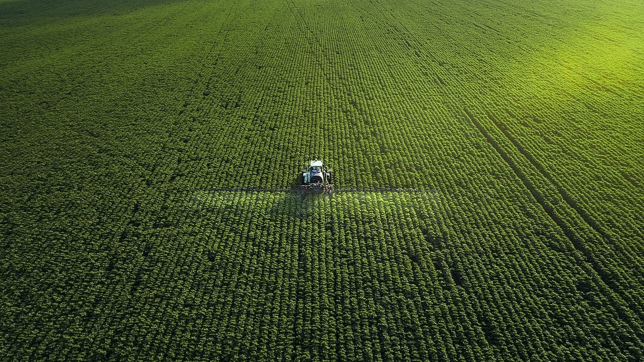 Combine harvester in field