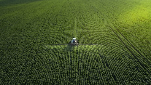 Combine harvester in field