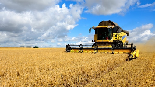  Yellow combine harvester in a field of wheat