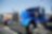 suzanne-rodriquez-besttheme-2016