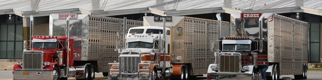 three trucks
